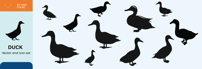 Hand Drawn Duck Vector and Silhouette
