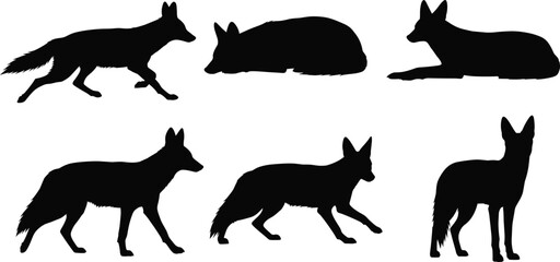 Set of black fox silhouette illustrations in various poses including walking, lying, sleeping, standing, and alert postures for design use