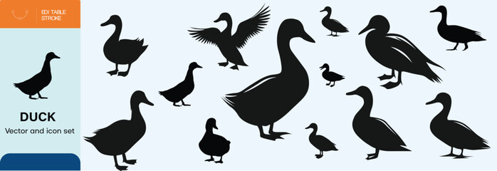 Hand Drawn Duck Vector and Silhouette