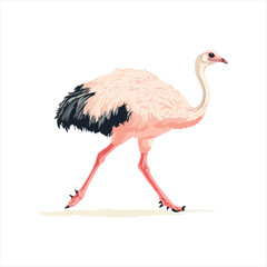 pink flamingo isolated on white