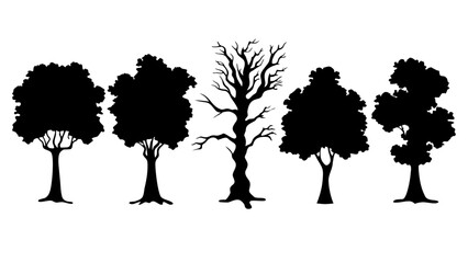 Vector silhouette of oak tree on white background