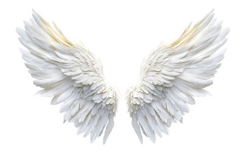 White feathered wings spread isolated on a transparent background