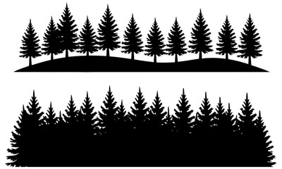 Silhouette of two rows of pine trees view