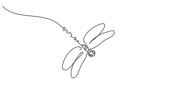 Self drawing animation with one continuous line draw Dragonfly elegance motion design. Full length motion
