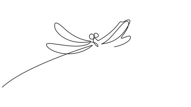 Self drawing animation with one continuous line draw Dragonfly elegance motion design. Full length motion