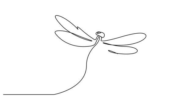 Self drawing animation with one continuous line draw Dragonfly elegance motion design. Full length motion