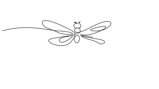 Self drawing animation with one continuous line draw Dragonfly elegance motion design. Full length motion