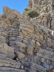 Wyspa Kos - Grecja - kozy odpoczywające na górskich zboczach © Konrad