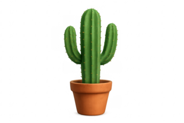 Green succulent cactus growing in a brown clay pot