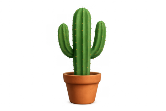 Green succulent cactus growing in a brown clay pot