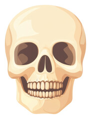 Obraz premium PNG Skull illustration human lip.