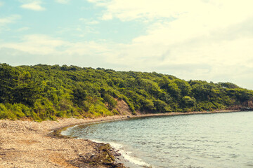 Quiet Northern summer beach with gentle waves and green forested coastline under clear blue sky