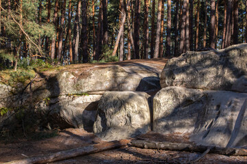 Morgendliche Stimmung an den kleinen Sandsteinhöhlen im Harz
