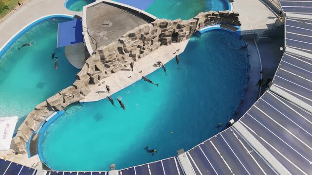 Batumi, Georgia - 7th august, 2025: Aerial view Batumi Georgia dolphinarium with pools arena and trained dolphins with masters performing public show entertainment in outdoors stage in sunny day