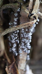 Engineer inspecting vehicle parts, mechanic examining metal components in a well-lit garage, tools and equipment nearby.