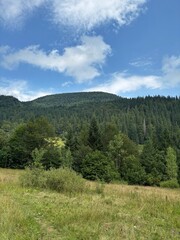 Mountain landscape with green forest and blue summer sky