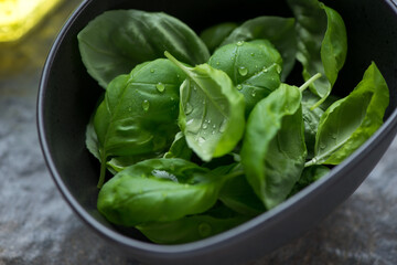 Close-up of fresh green basil leaves in a grey bowl, horizontal shot, selective focus