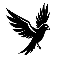 Obraz premium dove of peace