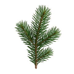 Detailed Close-Up of a Fresh Evergreen Pine Branch with Intricate Green Needles