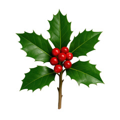 Holly Leaves with Red Berries on a Transparent Background for Seasonal Decor