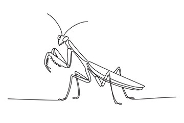 Continuous one line drawing of a mantis
