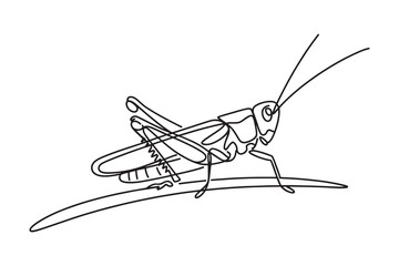  a simple line drawing of a grasshopper sitting on a blade of grass