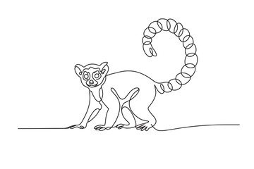 continuous line drawing of a lemur with a curly tail
