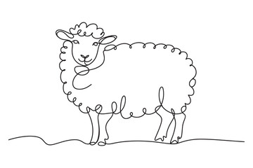 a simple black line drawing of a sheep standing  