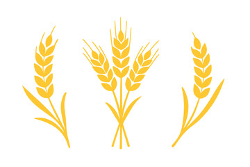 Golden wheat ears vector illustration set. Ripe wheat grains and spikelets for agriculture, harvest, and food concepts. Cereal icon collection for bakery or organic farm logo.