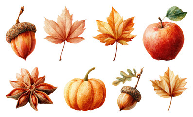 PNG Autumn harvest watercolor illustrations, element set on transparent background