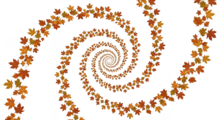 Autumn leaves forming a spiral pattern isolated on transparent background