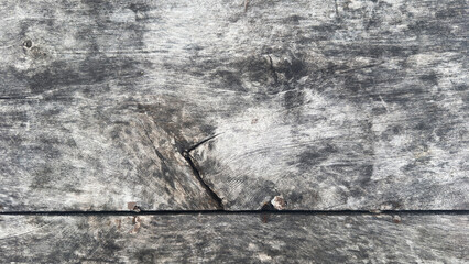 Gray old wood background texture. Abstract wooden backdrop with space for text.