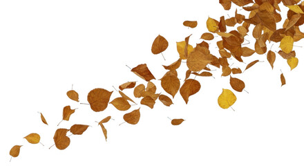 Autumn leaves falling in a swirling pattern isolated on transparent background