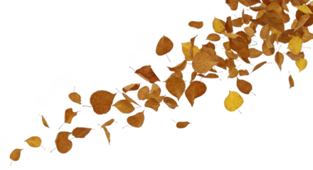 Autumn leaves falling in a swirling pattern isolated on transparent background