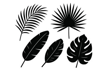 Set of black tropical leaves silhouette. Vector graphic collection of exotic plant elements. Includes monstera, fan palm, areca palm, and banana leaf. Botanical jungle foliage.