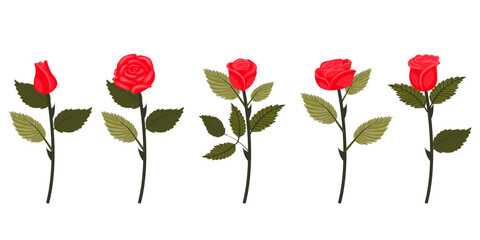 Naklejka premium Set of bright red roses. Five flowers on slightly inclined stems. Vector illustration isolated on white background.