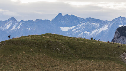 Panorama des Alpes françaises, avec photographe animalier qui photographie des chamois en...