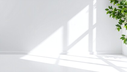 Fototapeta premium Sunlight streams into a bright, minimalist room