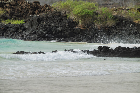 waves on the beach