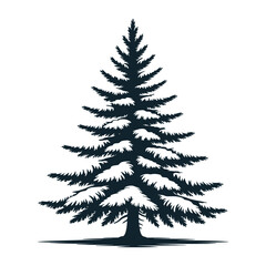 Obraz premium Snow-covered pine tree 