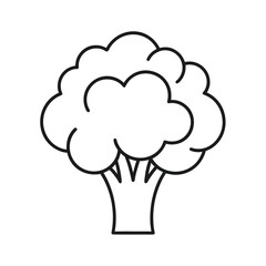 Art & Simple outline illustration of a fresh broccoli florets and stem
