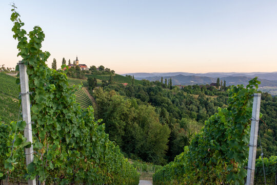 Scenic vineyards and village in Kitzeck, South Styria, Austria
