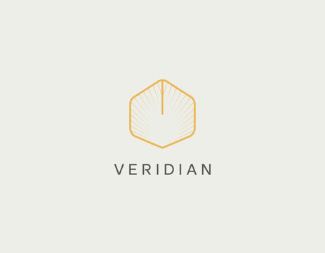 The image showcases an elegant shell logo for Veridian, representing eco-friendliness, nature, and sophistication, combining organic forms with modern design elements in branding.