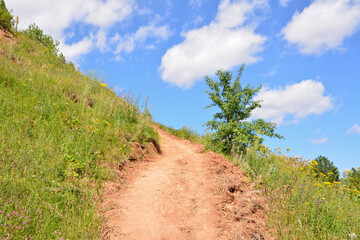Dirt Path Ascending a Hill with Lush Greenery and Blue Sky