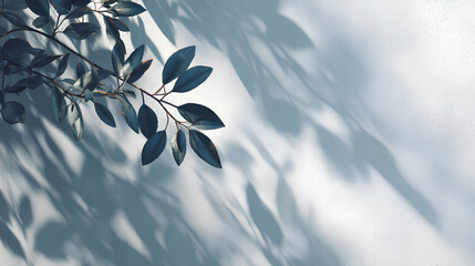 shadow overlay effect of natural tree leaves shadow and window shadow over on white wall background, realistic summer sunlight abstract shadow overlay on white background