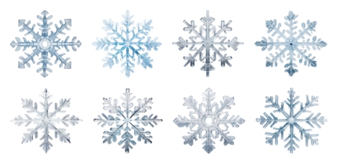 PNG Intricate icy snowflake designs, element set on transparent background