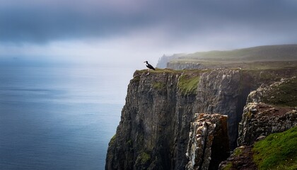 a dramatic coastal cliff shrouded in mist with a solitary bird perched on the edge overlooking the calm ocean