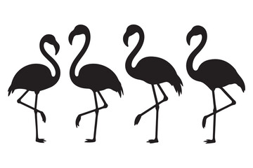 Set of Exotic Black flamingo birds silhouettes. Flamingos standing in different poses. Birds clipart, icons, symbol, logo. Vector Black silhouettes. with white background