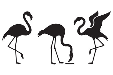 Set of Exotic Black flamingo birds silhouettes. Flamingos standing in different poses. Birds clipart, icons, symbol, logo. Vector Black silhouettes. with white background