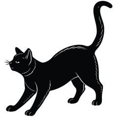Black cat stretching its body, looking forward